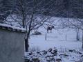 DECEMBRE 2009 SOUS LA NEIGE!!!
