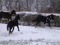 LOVELY, FRITS et UNGUS : DETENTE DANS LA NEIGE