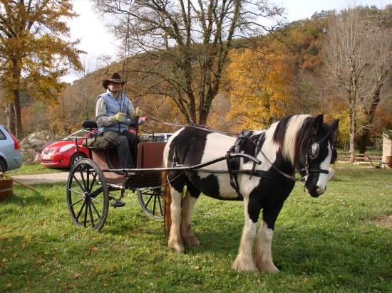 formation attelage avec MISS OF EIRE nov.2010