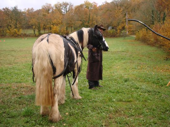 formation attelage avec MISS OF EIRE nov.2010