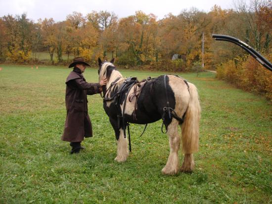 formation attelage avec MISS OF EIRE nov.2010