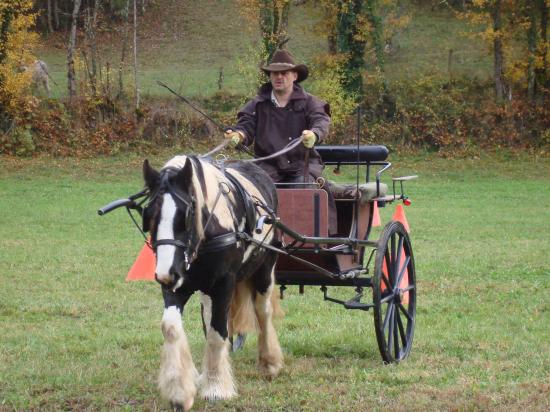 formation attelage avec MISS OF EIRE nov.2010