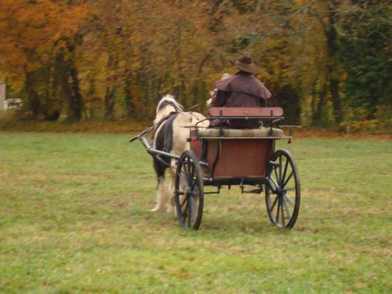 formation attelage avec MISS OF EIRE nov.2010