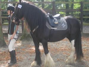 SORCHA
