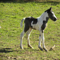 dscn5764-1.jpg