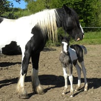 dscn5779.jpg