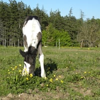 dscn6023.jpg