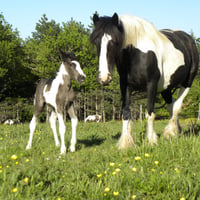 dscn6039.jpg