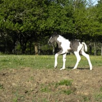 dscn6049.jpg