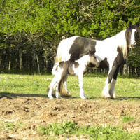 dscn6054.jpg