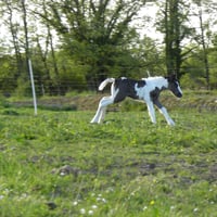 dscn6077.jpg