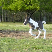 dscn6080.jpg